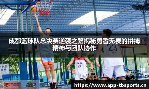 成都篮球队总决赛逆袭之路揭秘勇者无畏的拼搏精神与团队协作